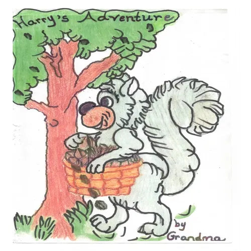 Harry's Adventure