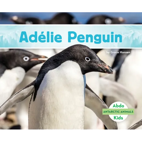 Adelie Penguin