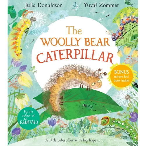 The Woolly Bear Caterpillar