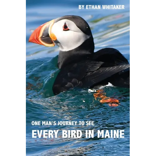 Every Bird in Maine: One Man's Journey to See Every Bird in Maine - A Photographic Account of a Maine Big Year in Birding