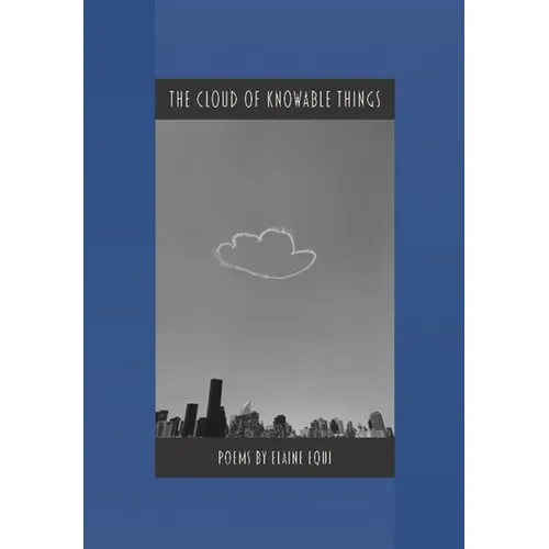 The Cloud of Knowable Things