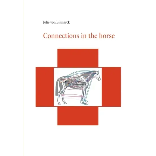 Connections in the horse