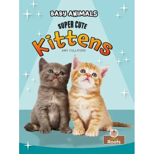 Super Cute Kittens