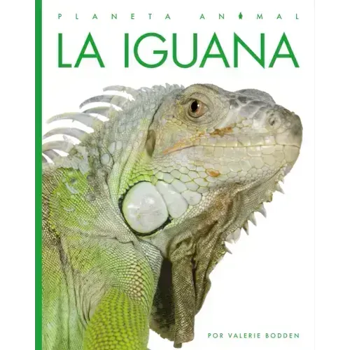 La Iguana