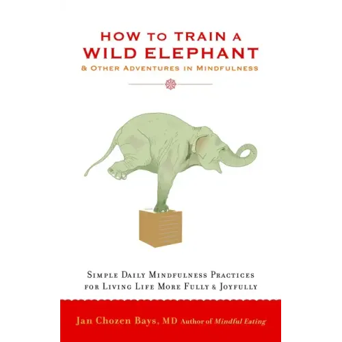 How to Train a Wild Elephant: And Other Adventures in Mindfulness