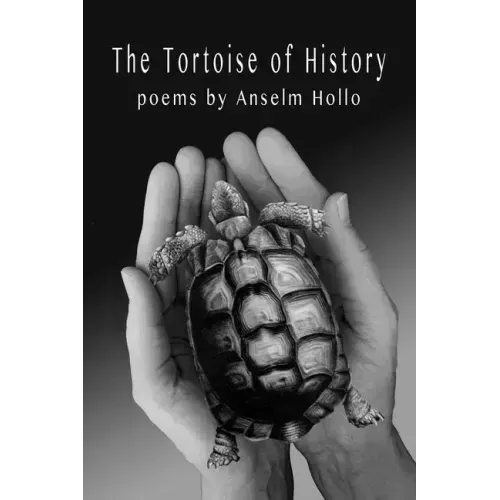The Tortoise of History