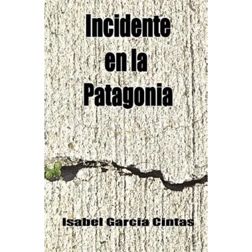 Incidente en la Patagonia