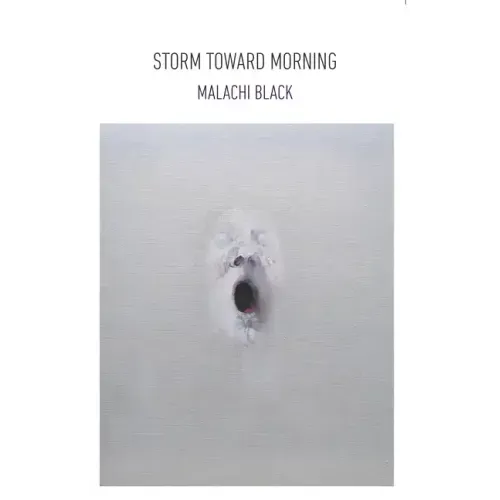 Storm Toward Morning