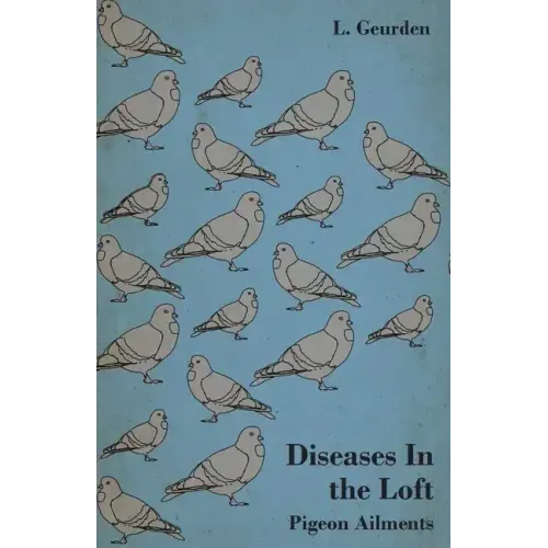Diseases In the Loft - Pigeon Ailments