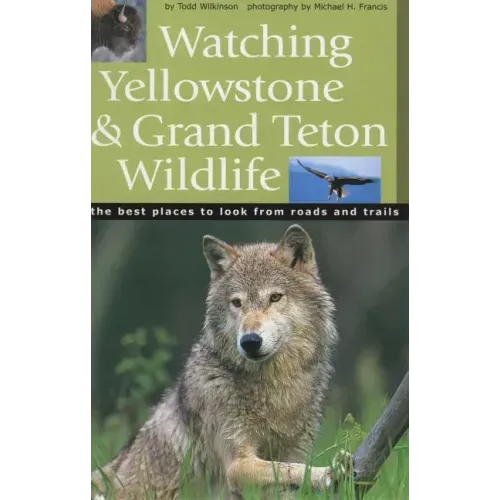 Watching Yellowstone & Grand Teton Wildlife