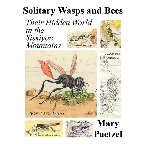 Solitary Wasps and Bees: Their Hidden World in the Siskiyou Mountains