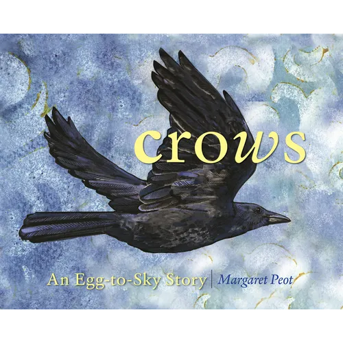 Crows: An Egg-To-Sky Story