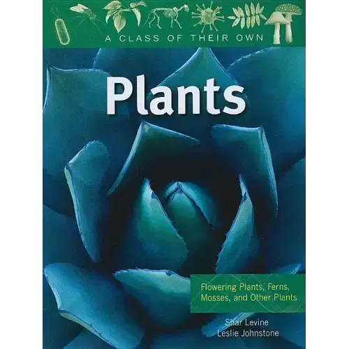 Plants: Flowering Plants, Ferns, Mosses, and Other Plants