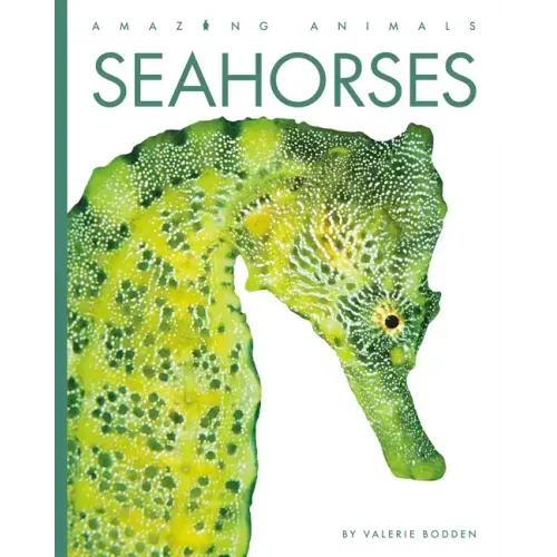 Seahorses