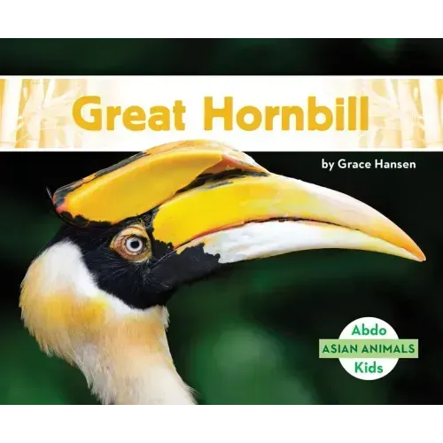 Great Hornbill
