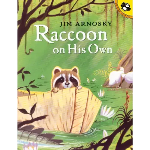 Raccoon on His Own
