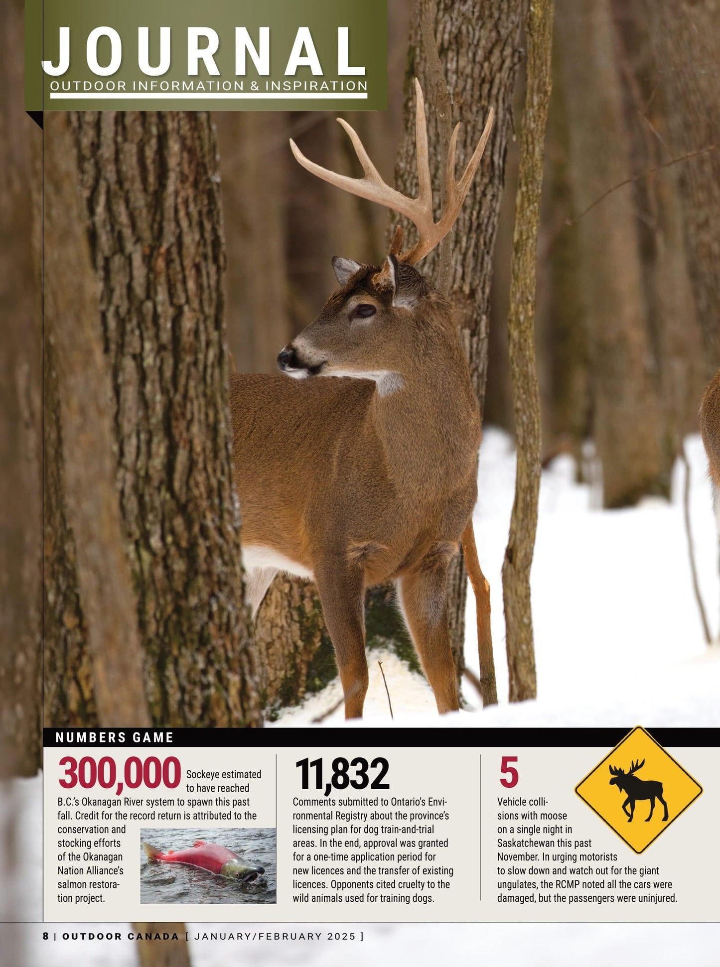 Outdoor Canada – Winter 2025: Catch More Fish Than Ever This Winter, 7 Pro Ice Tactics, All New Hardwater Gear Guide, Help For Novice Hunters, Hearty Fish & Game Soups, Trout, Walleye, Panfish & More!