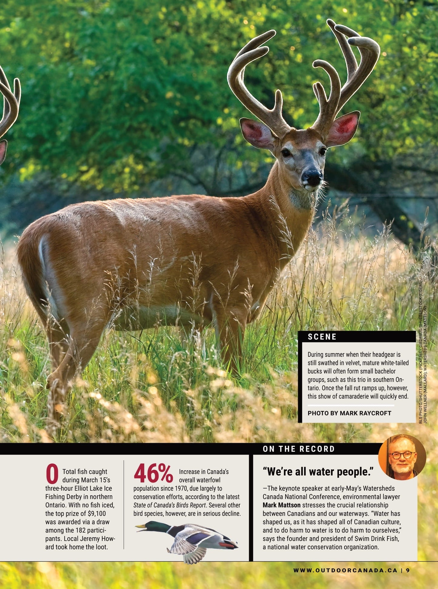 Outdoor Canada - Summer 2025: Our Great Land, Canada’s Wild Landscapes & Greatest Outdoor Achievements, Best Barbless Fishing Techniques, Essential Bird Hunts, Must-Do Bucket-List Destinations & More!