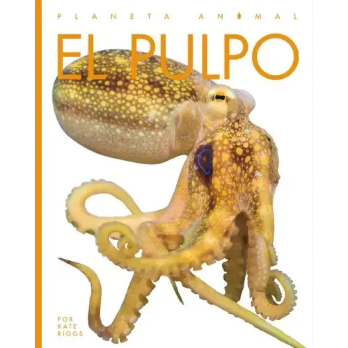 El Pulpo