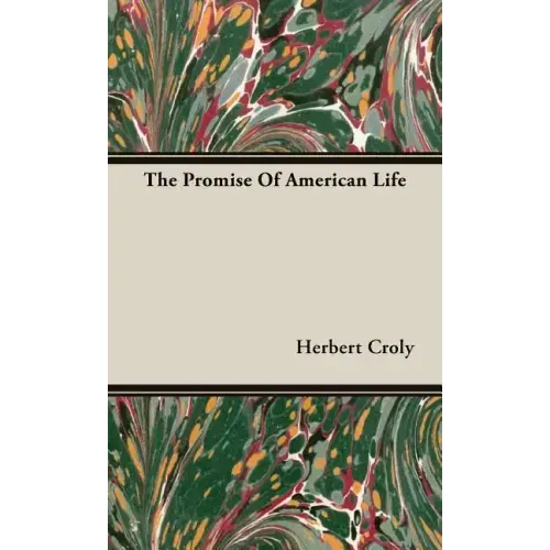 The Promise Of American Life