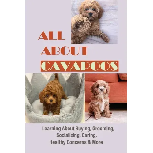 All About Cavapoos: Learning About Buying, Grooming, Socializing, Caring, Healthy Concerns & More: How To Breed Cavapoo