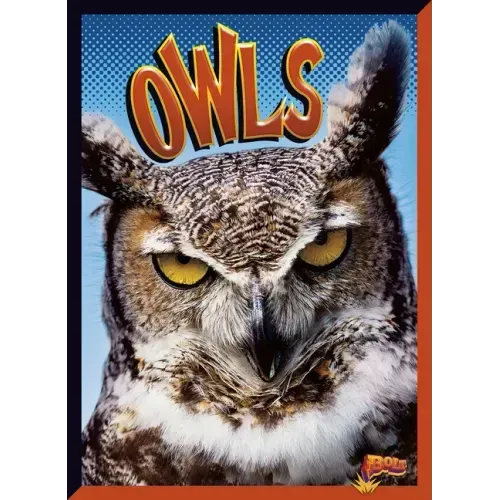 Owls
