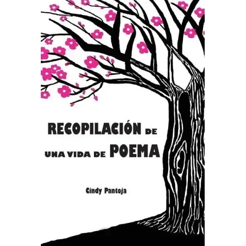 Recopilacion de una vida de poema