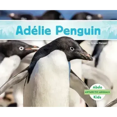 Adélie Penguin