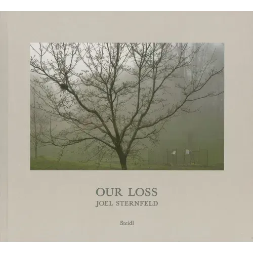 Joel Sternfeld: Our Loss