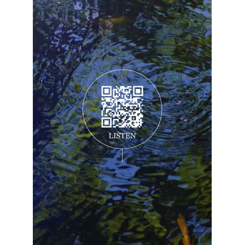 Wetland Project: Explorations in Sound, Ecology and Post-Geographical Art
