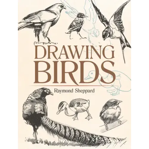 Drawing Birds