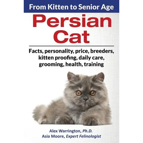 Persian Cat: From Kitten to Senior Age