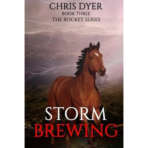 Storm Brewing: Book Three The Rocket Series