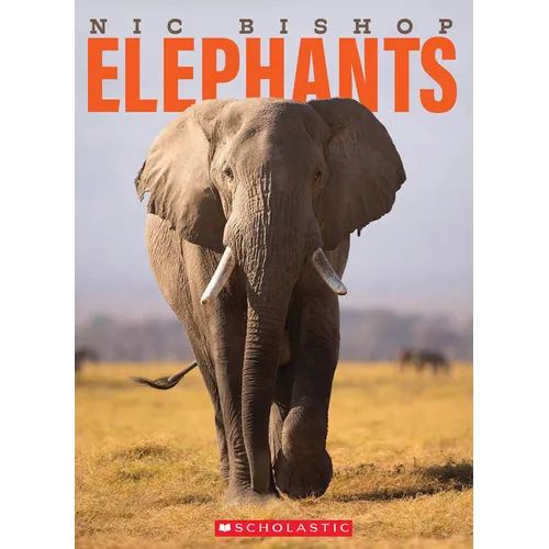 Nic Bishop Elephants