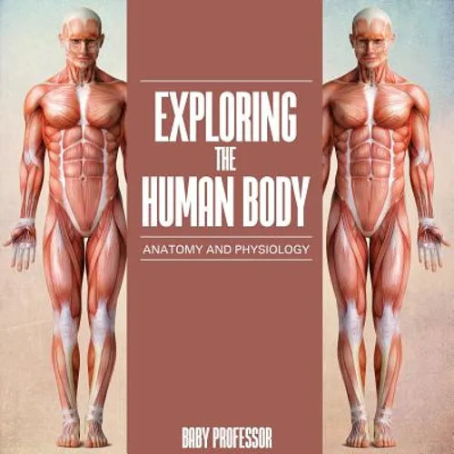 Exploring the Human Body Anatomy and Physiology
