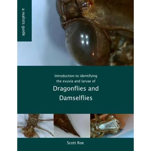 Introduction to identifying the exuvia and larvae of Dragonflies