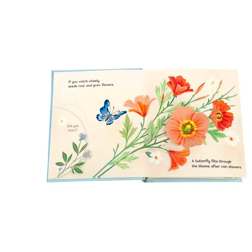 Little Book of Flowers
