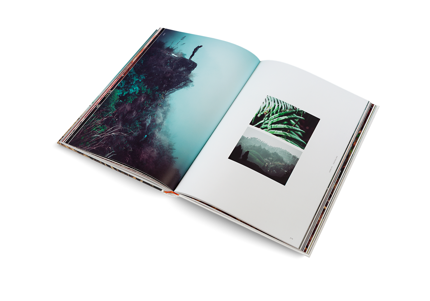 One Year on a Bike Book