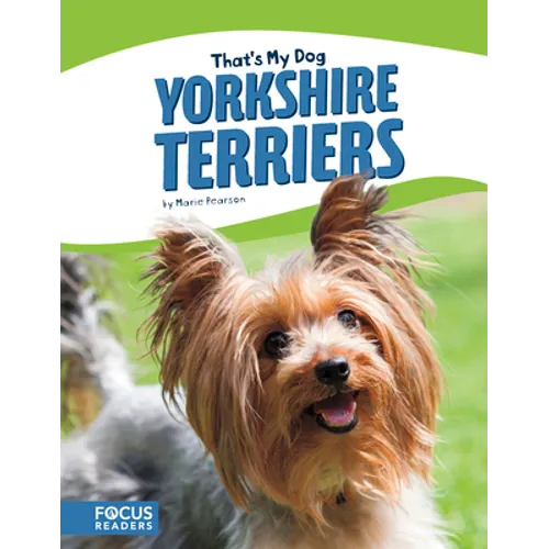 Yorkshire Terriers