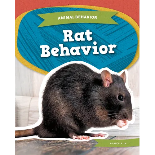 Rat Behavior