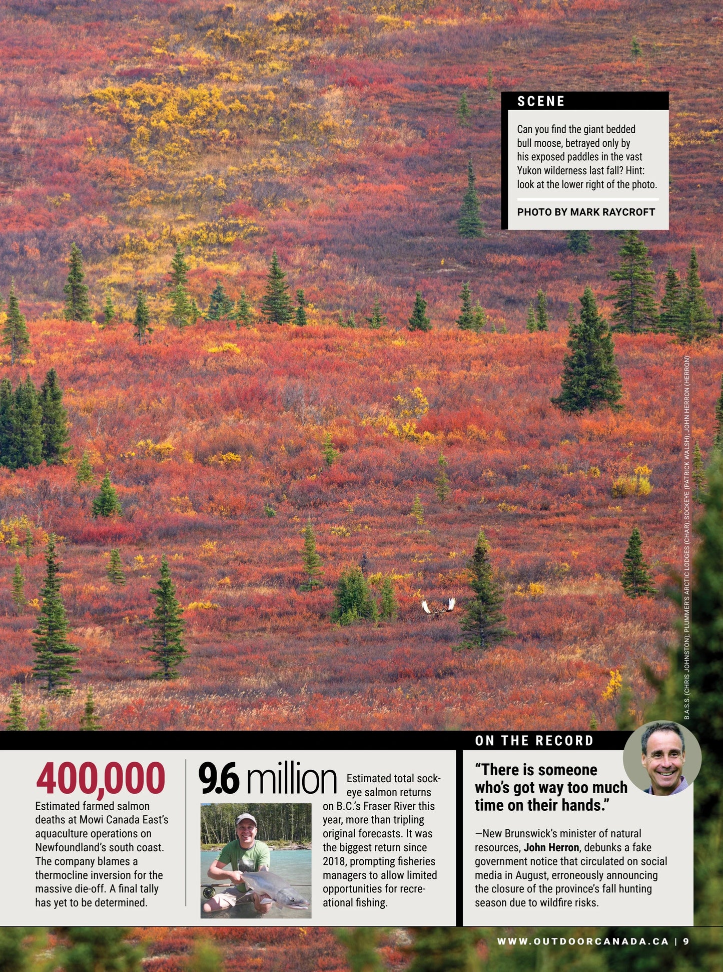 Outdoor Canada - Fall 2025: 20 Expert Tips For Wet-Weather Whitetails, The High-Stakes World Of Decoy Collecting, Pro Fishing Tips, Insights On Wildlife Preservation, Late-Fall Bear Tactics & More!