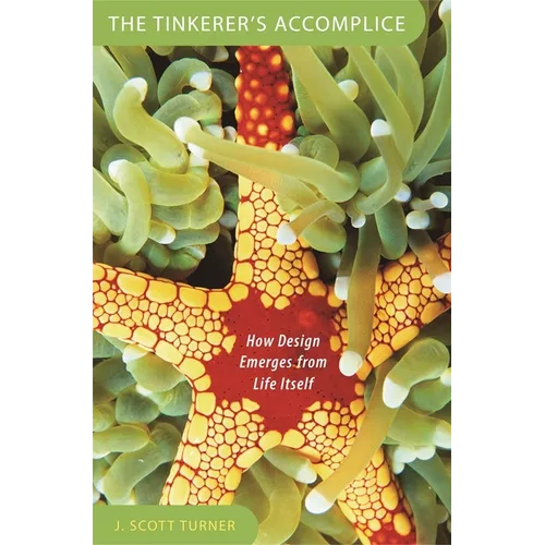 Tinkerer's Accomplice: How Design Emerges from Life Itself