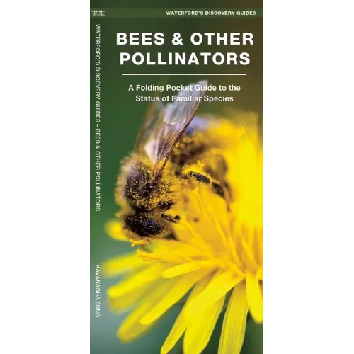 Bees & Other Pollinators: A Folding Pocket Guide to Familiar Species