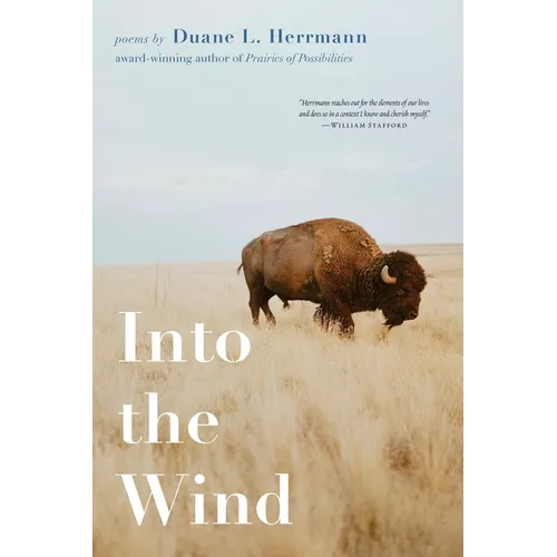 Into the Wind