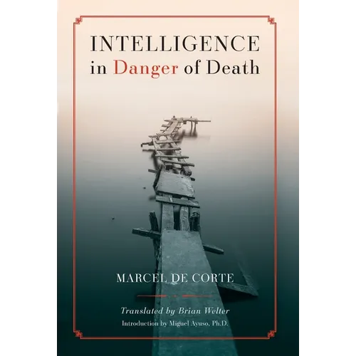 Intelligence in Danger of Death (English edition)