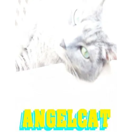 Angel Cat: Anime Manga Comic Book Ghost Soul Angel Heaven War Battle Good vs Evil Teenager Cat