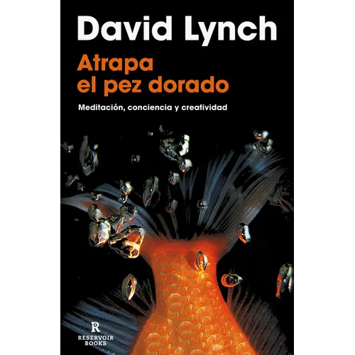 Atrapa El Pez Dorado / Catching the Big Fish