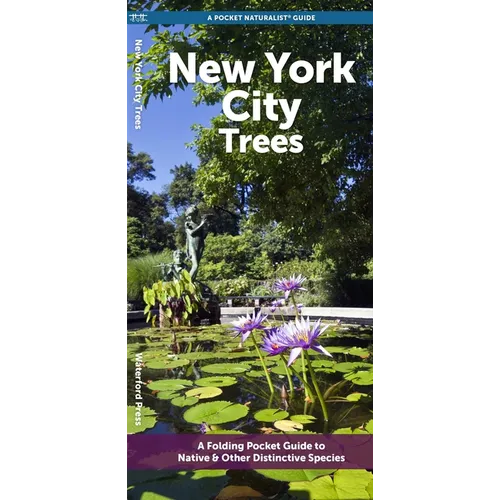 New York City Trees: A Folding Pocket Guide to Native & Other Distinctive Species
