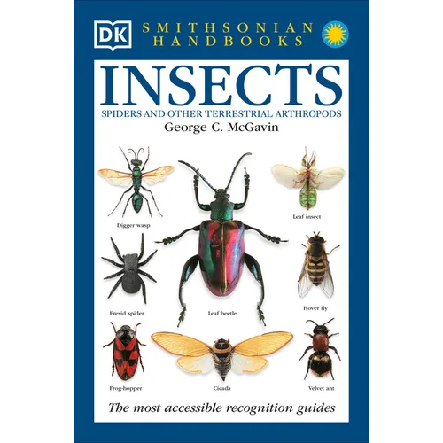Insects: The Most Accessible Recognition Guide