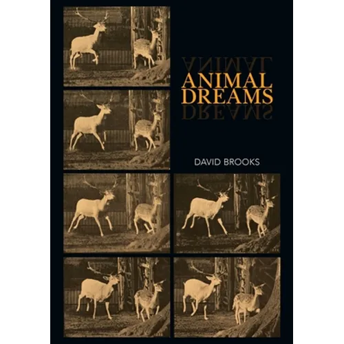 Animal Dreams